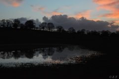erictheze.com-0079