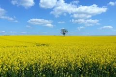erictheze.com-162452