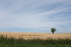 erictheze.com-5234