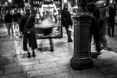 erictheze.com-8485